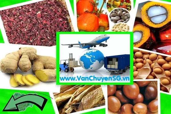 Gửi hàng thực phẩm đi Mỹ