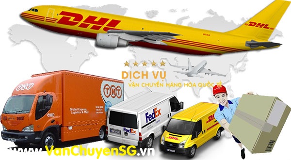 gui-qua-tet-di-chau-a-asia